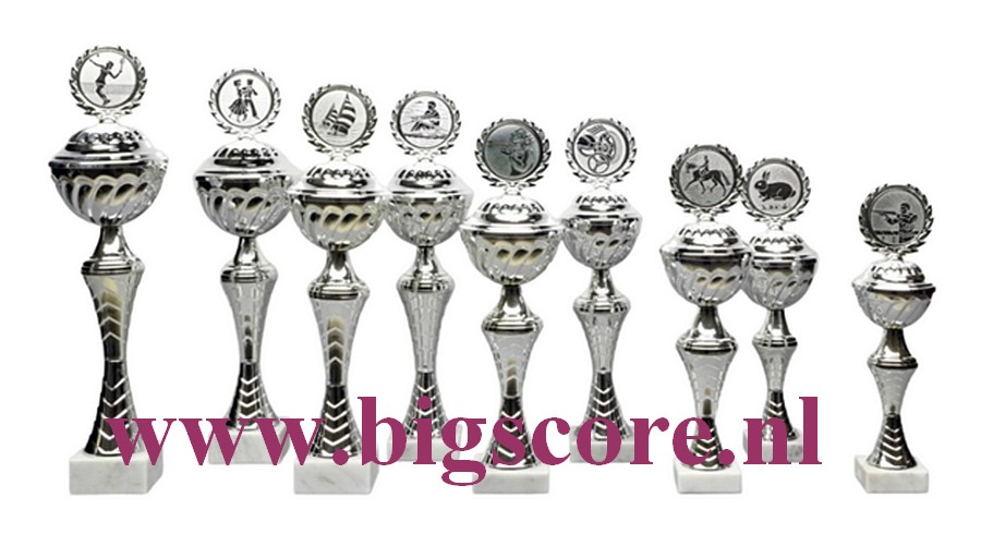 Z 637 Beker Zilver 9 Delig